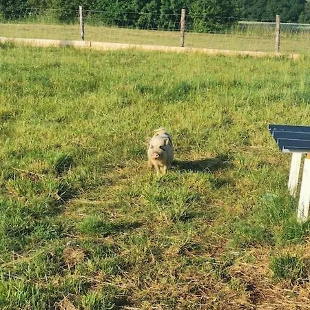 بيت للعطل Familial A *