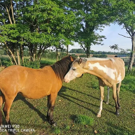 بيت للعطل Familial A *