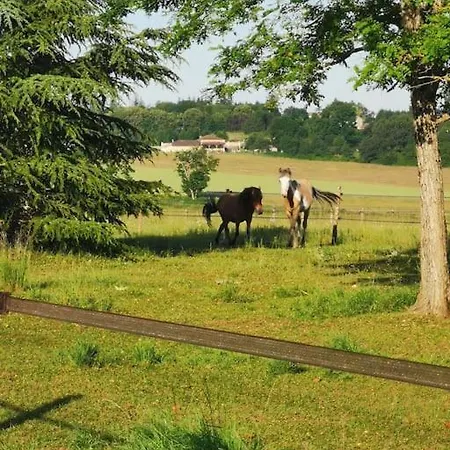 Familial A بيت للعطل *